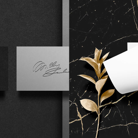 Logo Milly Carlucci