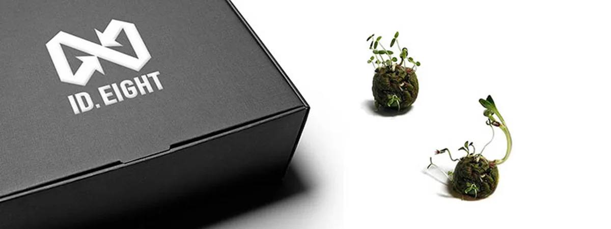 ID. EIGHT: packaging sostenibile con "seed bom" Scatola di scarpe nera con logo bianco ID.EIGHT e due "seed bomb" germogliate,