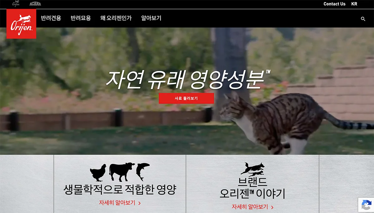 Homepage del sito web ufficiale di Orijen in coreano con cane Labrador, menu istituzionale e sezioni brand.